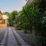 Seta