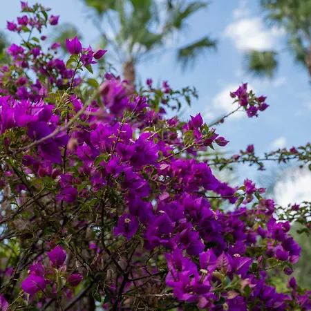 Alojamento de Acomodação e Pequeno-almoço Seta